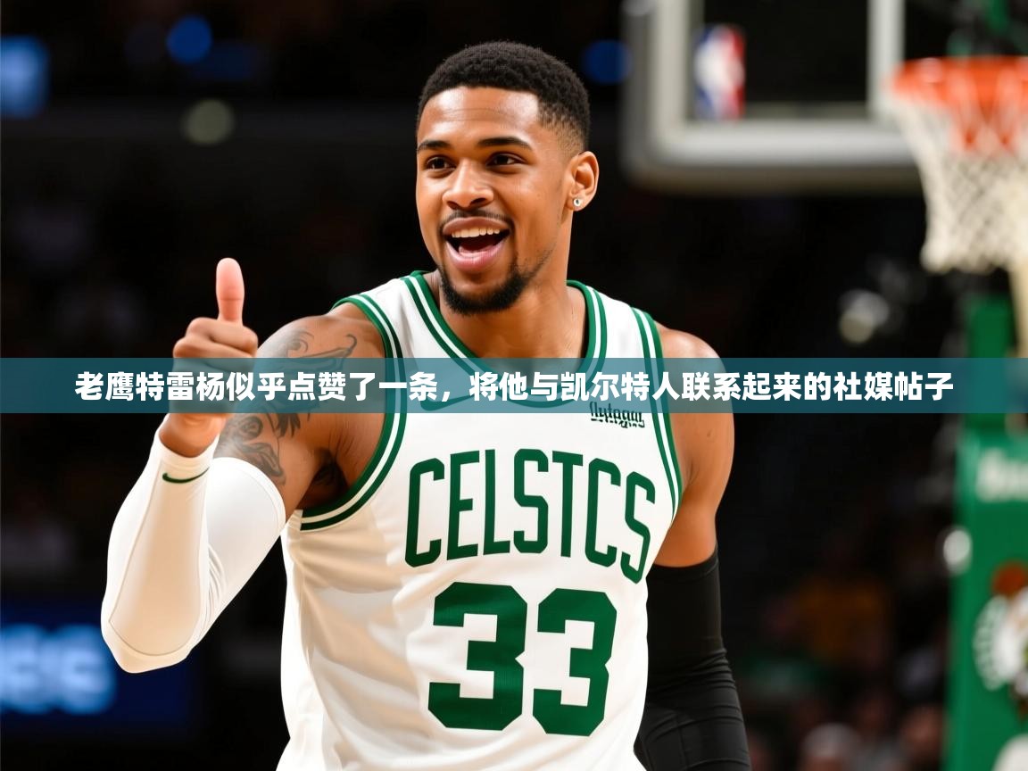 2025爱游戏体育(中国)官方网站老鹰特雷杨似乎点赞了一条，将他与凯尔特人联系起来的社媒帖子  第2张
